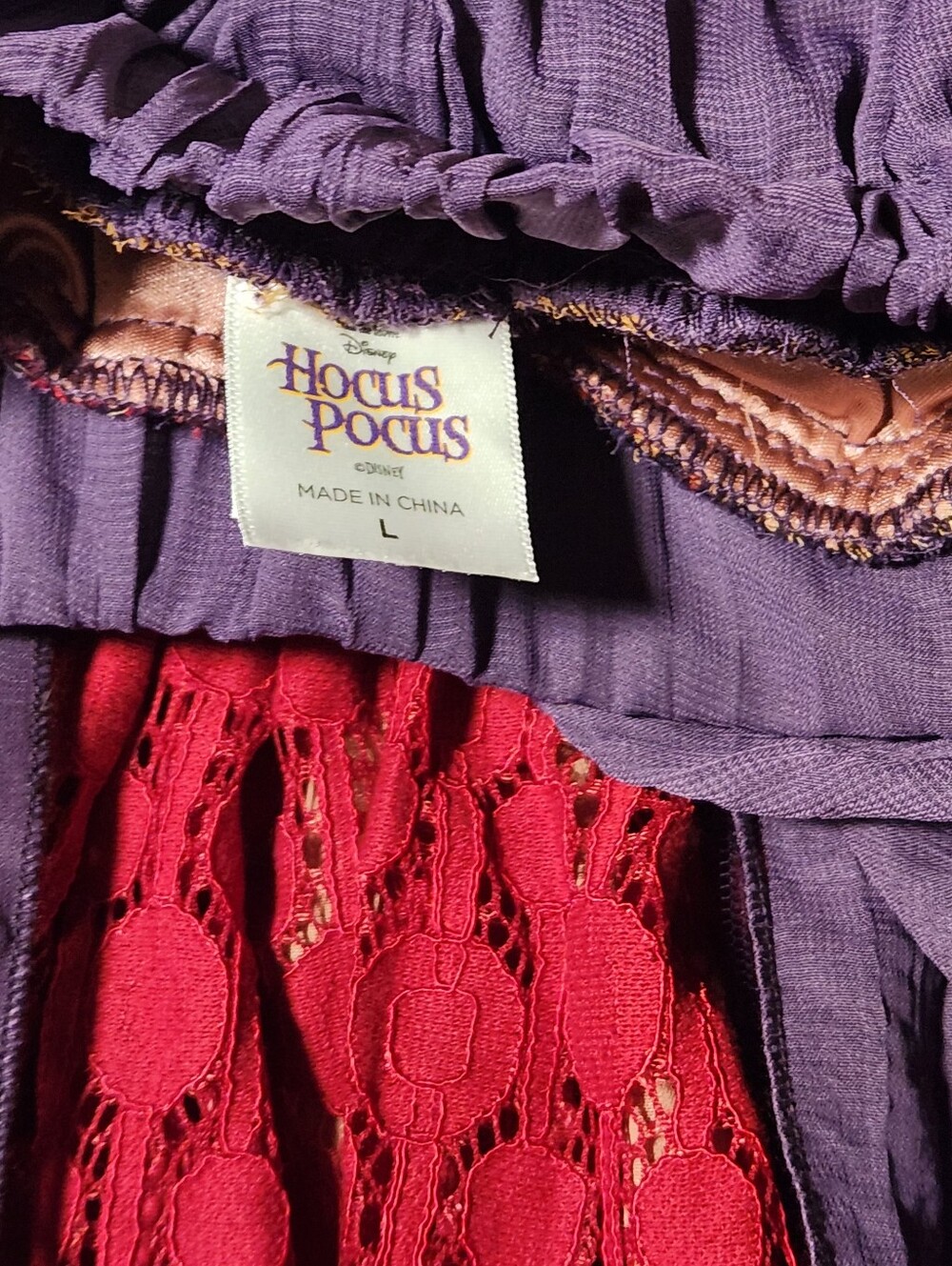 Spirit Halloween Signature Collection Hocus Pocus Sarah Sanderson 2pc Costume L - Picture 4 of 13